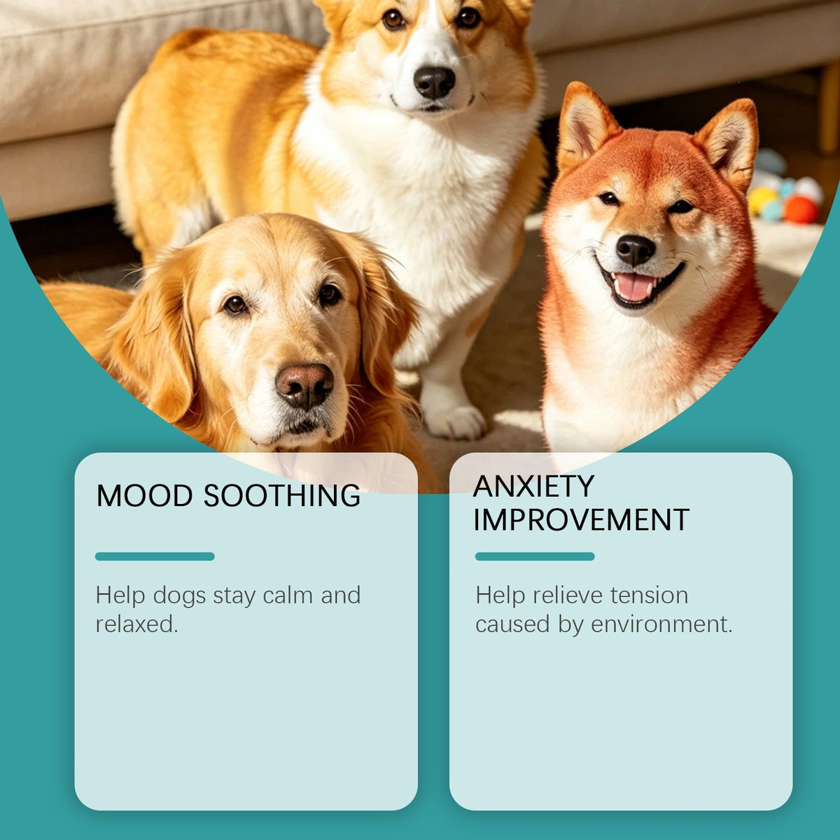 Dog Care Chewable Tablets Daily Care Dog Body Nutrition Balance Immune Quiet Care Tablets