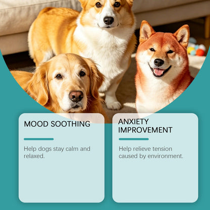 Dog Care Chewable Tablets Daily Care Dog Body Nutrition Balance Immune Quiet Care Tablets