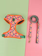 Summer Cute Pet's Chest-back Haulage Rope Package Suitable For Medium And Large Pet Dogs