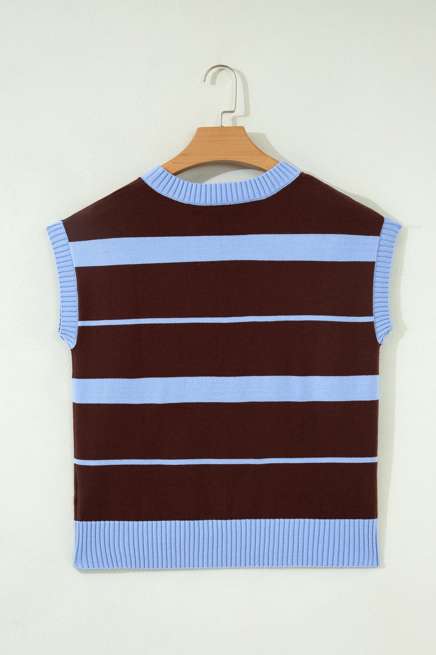 Sky Blue Stripe Striped Short Sleeve Round Neck Casual Knit Top