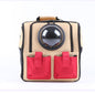 Pet space backpack