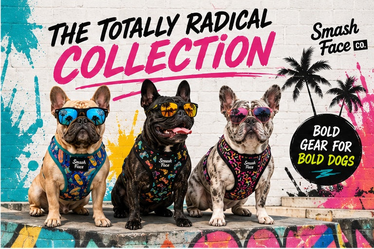 Totally Radical Reversible Dog Harness, Collar & Leash Set | Retro Gamer & Surf Skate Print | French Bulldog Harness