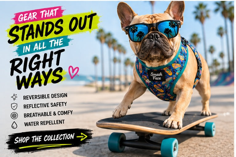 Totally Radical Reversible Dog Harness, Collar & Leash Set | Retro Gamer & Surf Skate Print | French Bulldog Harness