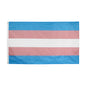 Transgender Rainbow Flag