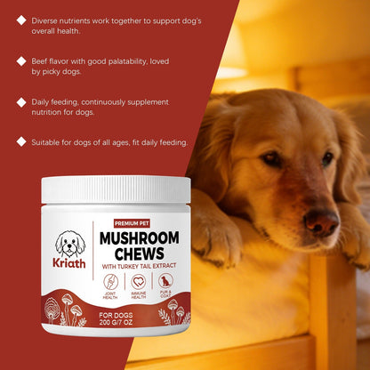 Kriath Mushroom Chewable Tablets For Dogs, Dog Dietary Nutritional Tablets, Daily Feeding Supplement Nutritional Products