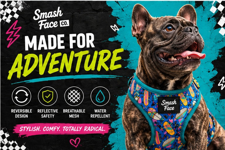 Totally Radical Reversible Dog Harness, Collar & Leash Set | Retro Gamer & Surf Skate Print | French Bulldog Harness