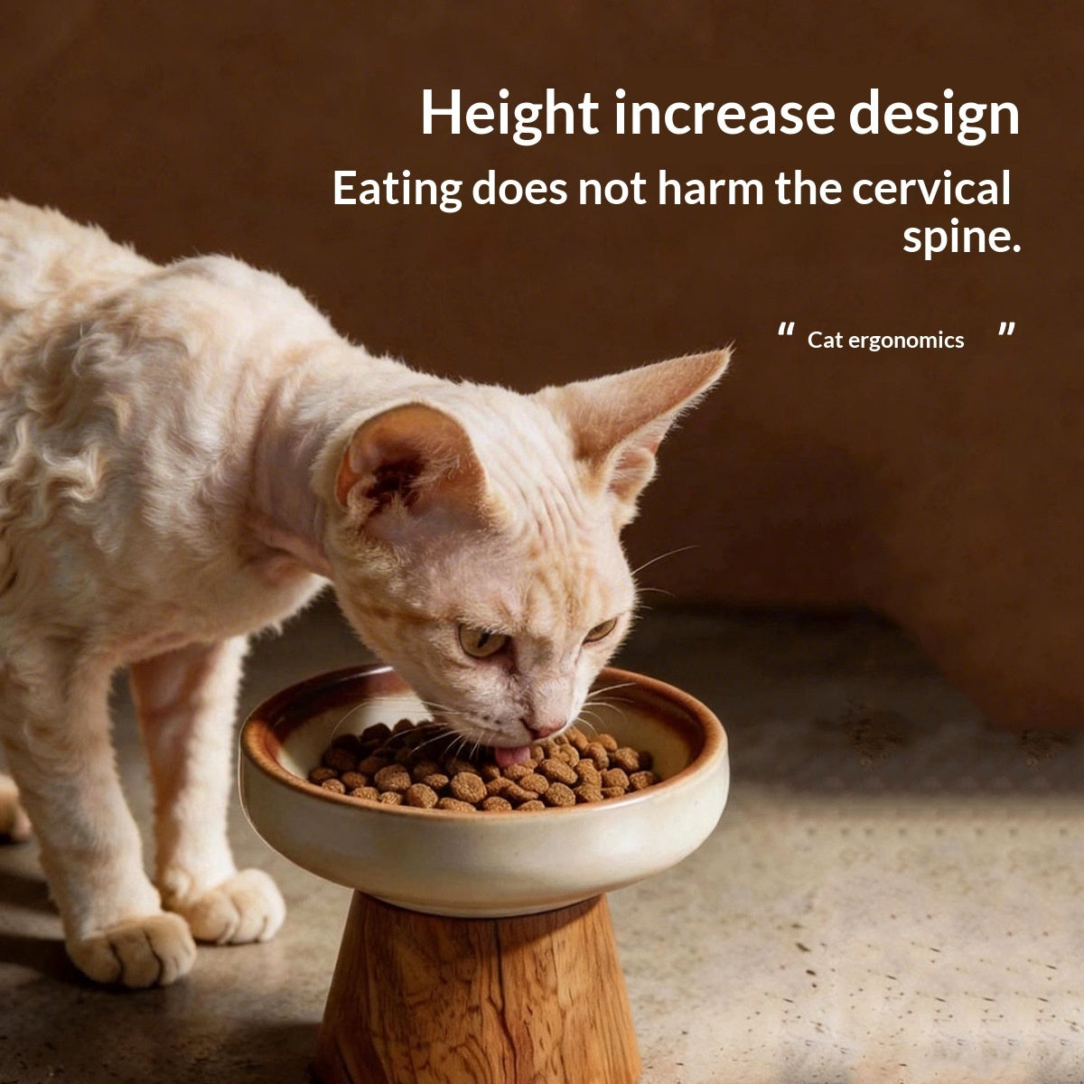 Ceramic Wide-mouth Cat Food Dish Dog Bowl
