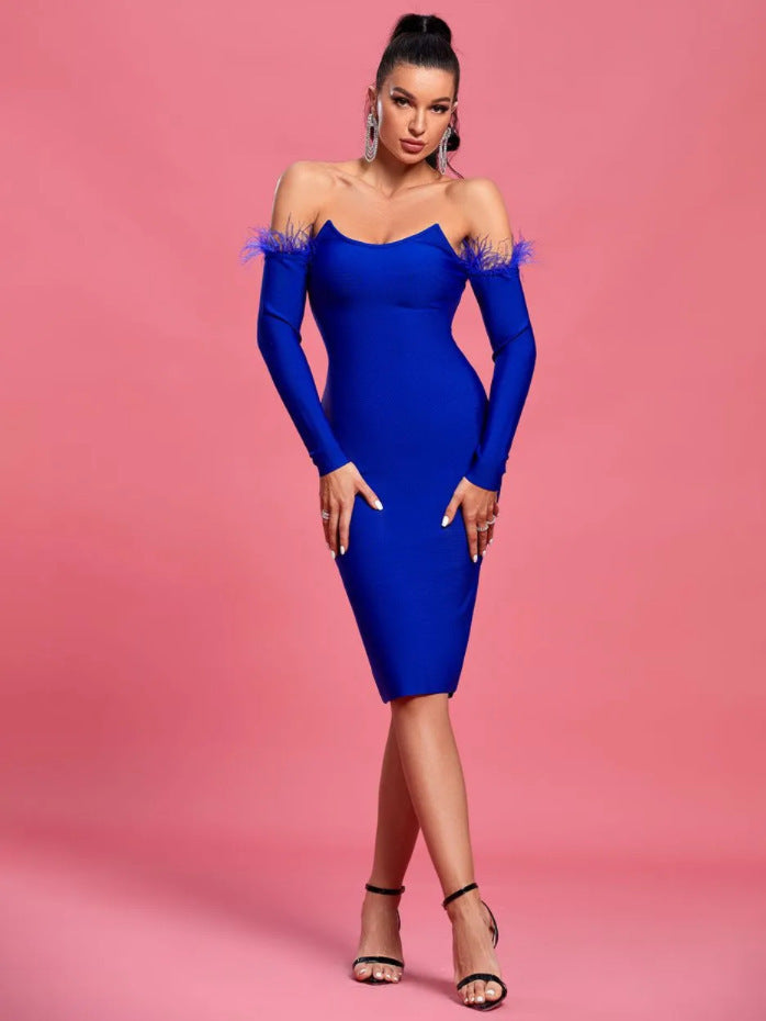 Long Sleeve Feather Women's Clothing Dress