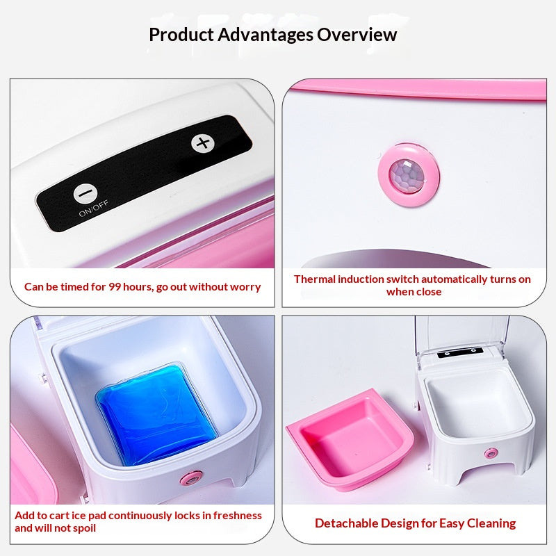 Cat Automatic Feeding Device