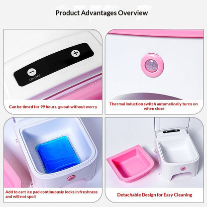 Cat Automatic Feeding Device