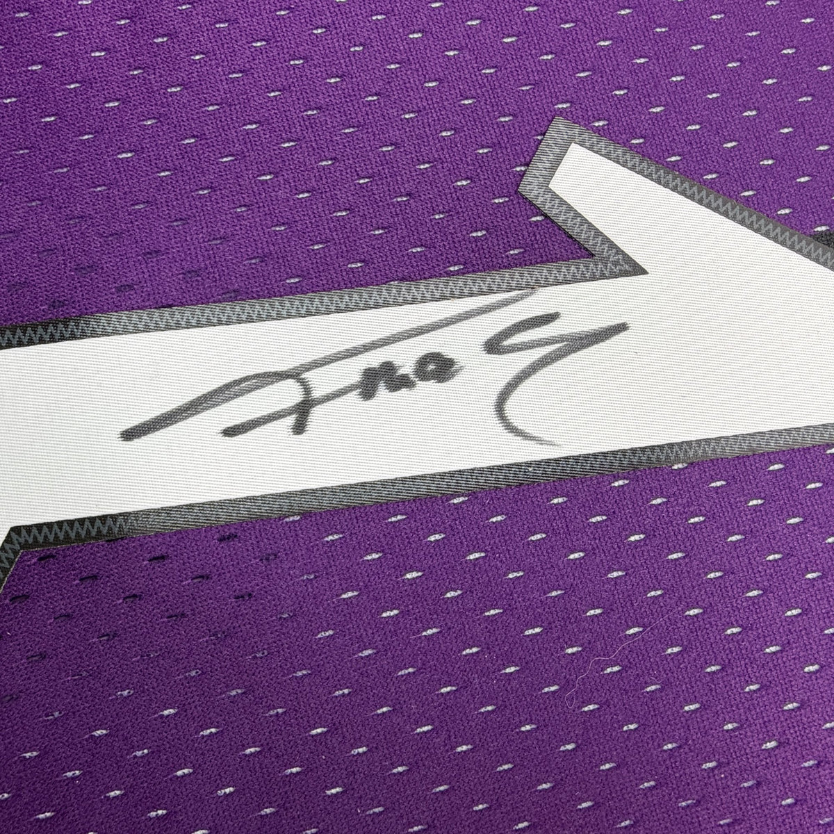 Autographed/Signed Tracy McGrady Toronto Raptors Purple Mitchell & Ness Authentic Basketball Jersey Fanatics COA
