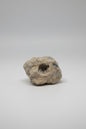 Sandstone Quartz Geode