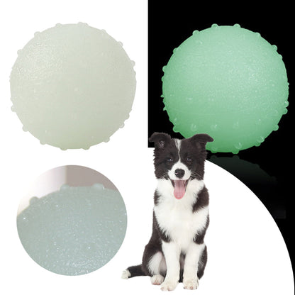 Interactive pet glow ball