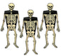 Skeleton Party Favor Boxes- 3 Count