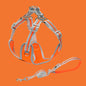Pet Small And Medium Sized Dog Vest Collar Traction Rope