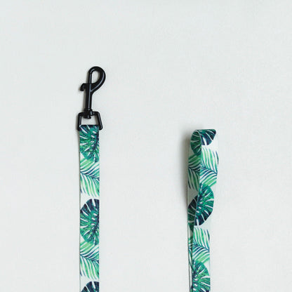 Pet traction rope chest strap