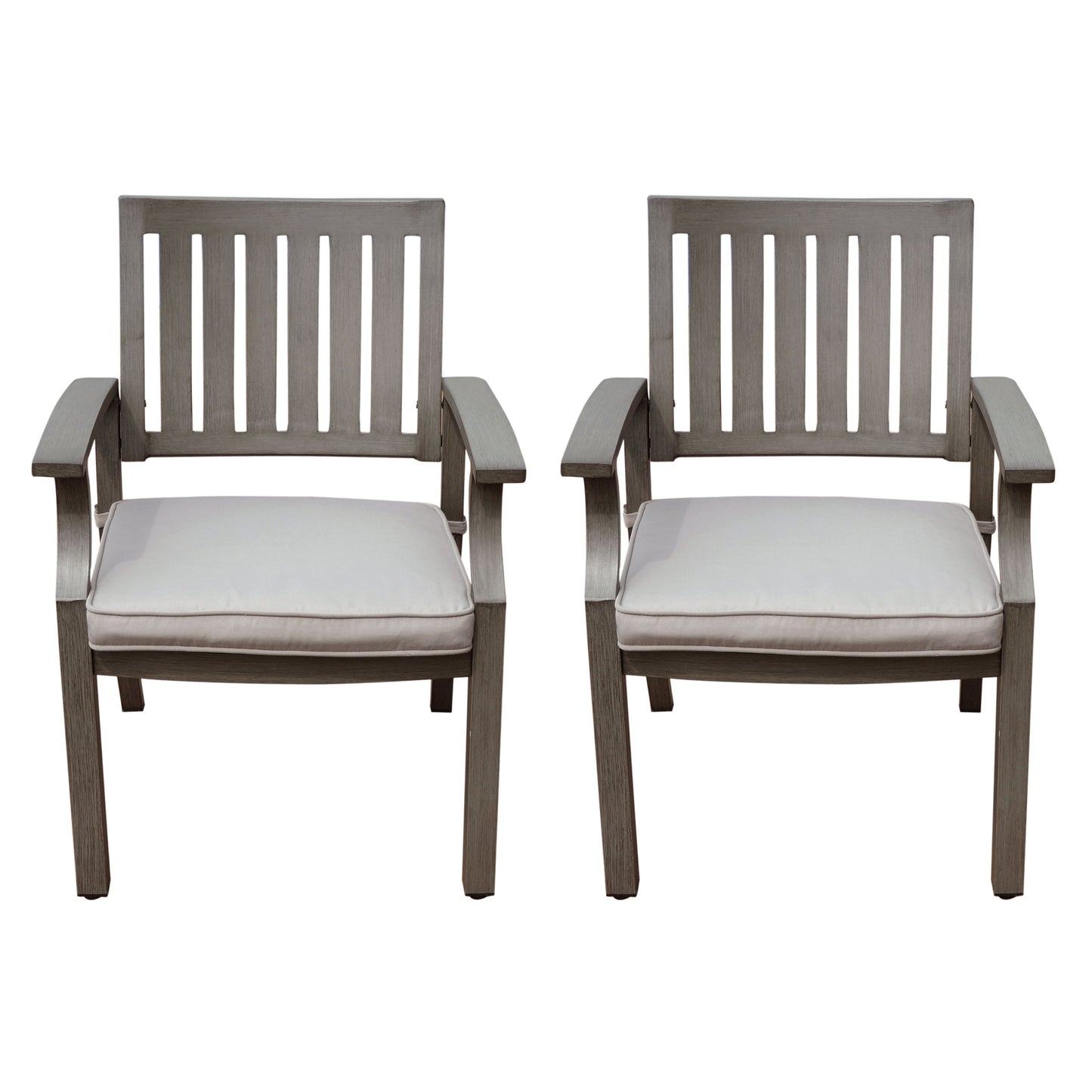 Outdoor Modern Aluminum Dining Chair with Cushion (Set of 2)