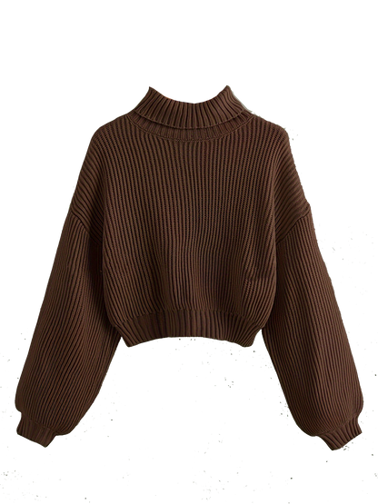 Turtle Neck Sweater Elegant Long Sleeve