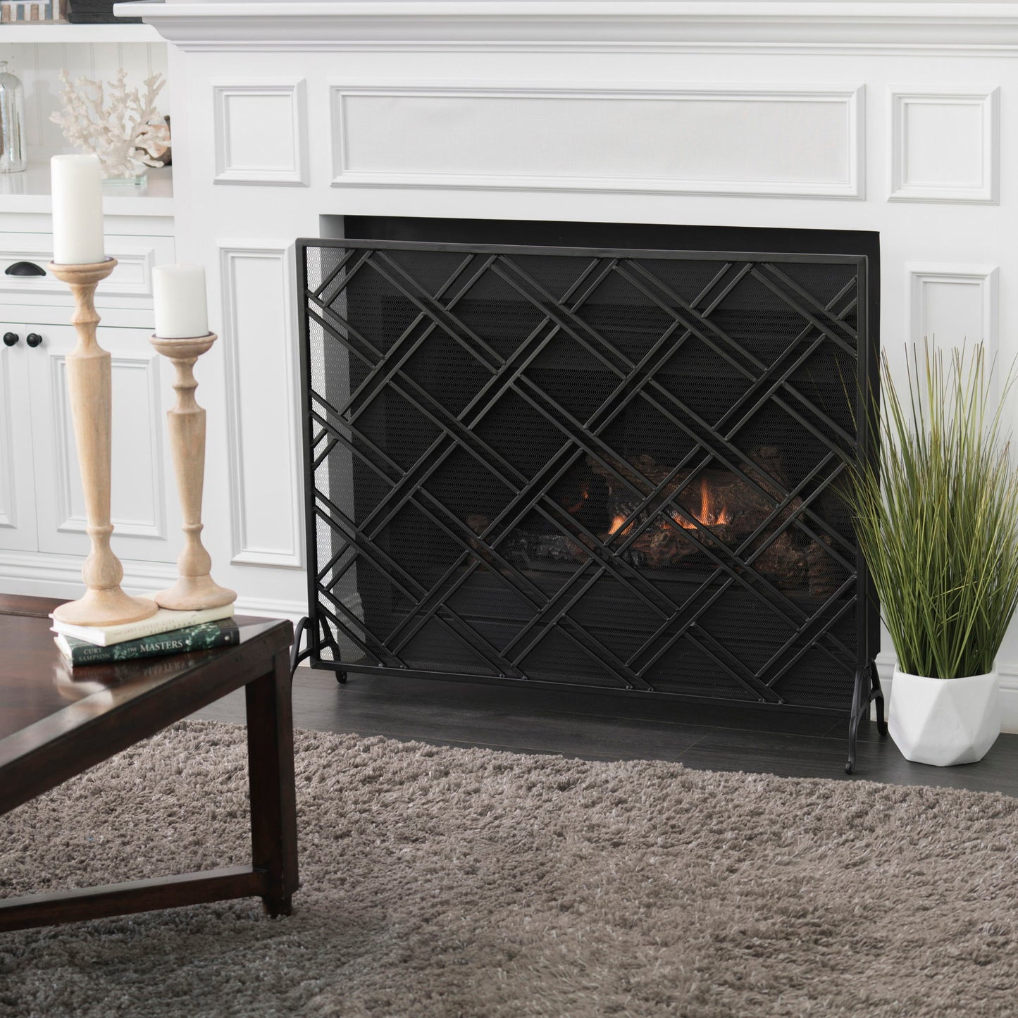 Elegant Design Fire Screen Protective Barrier