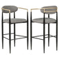 Tina Fabric Upholstered Bar Chair Dark Grey (Set of 2)