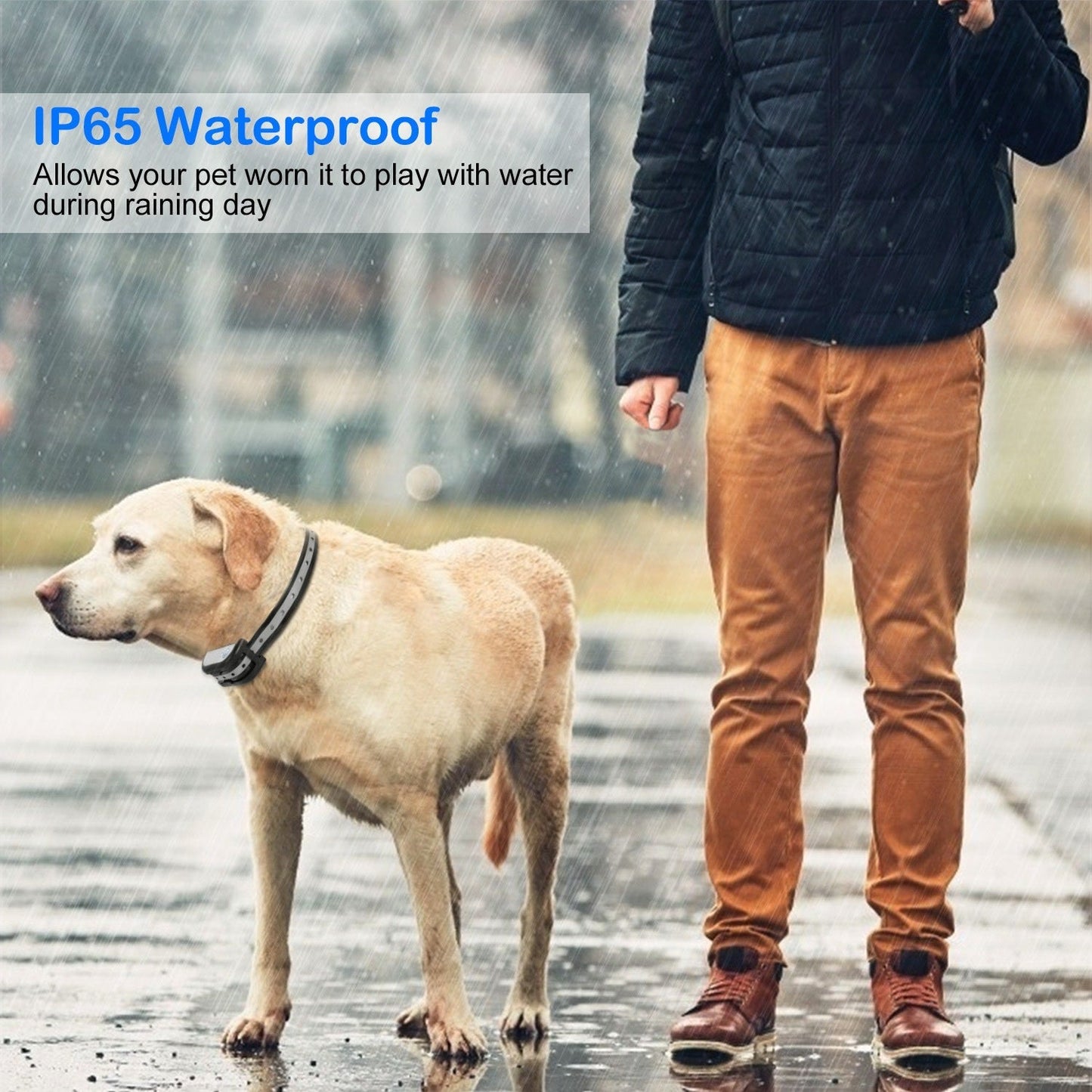 Dog Collar Receiver for Electric Fence – Rechargeable & Waterproof IP65