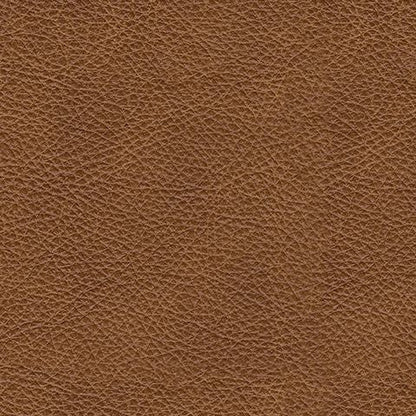 Carianna - Queen Sofa Sleeper - Caramel