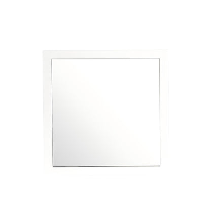 Burlington - Modern Design Transitional Wall Mirror