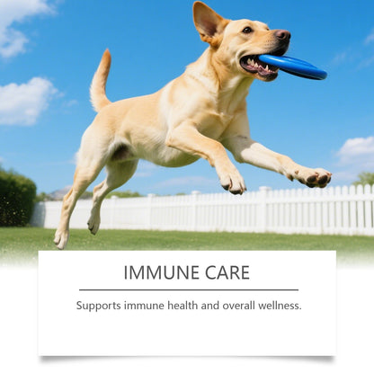 Dog Care Chewable Tablets Are Gentle On The Dog's Body And Provide Daily Nutritional Supplements Suitable For All Dog Breeds