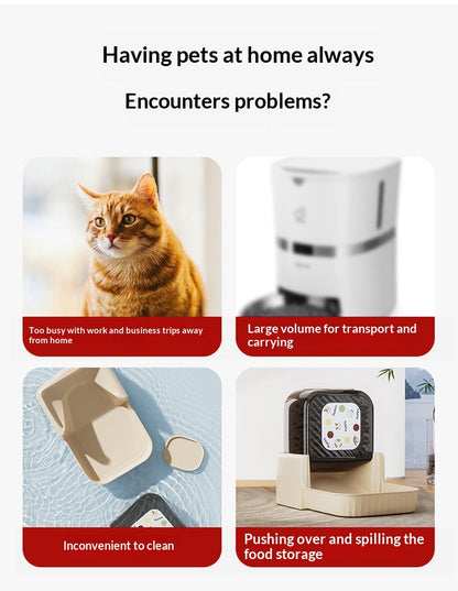 Cat Automatic Feeding Device