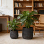 Large Round Planters Set of 2