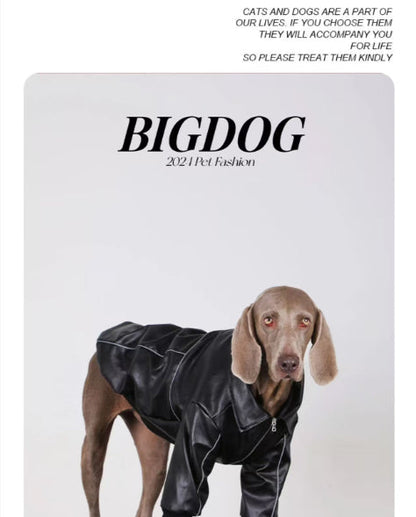 Dog Clothes For Medium To Large Breeds Autumn Black Leather Jacket For Labradors, Golden Retrievers, And Samoyeds