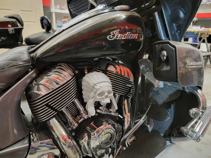 Color match Indian skull warbonnet Horn cover