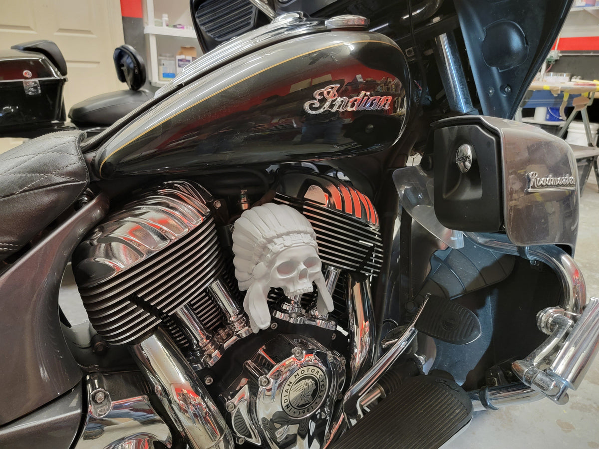 Chrome color Indian skull warbonnet Horn cover