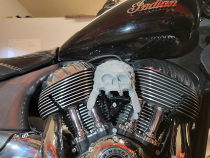 Color match Indian skull warbonnet Horn cover