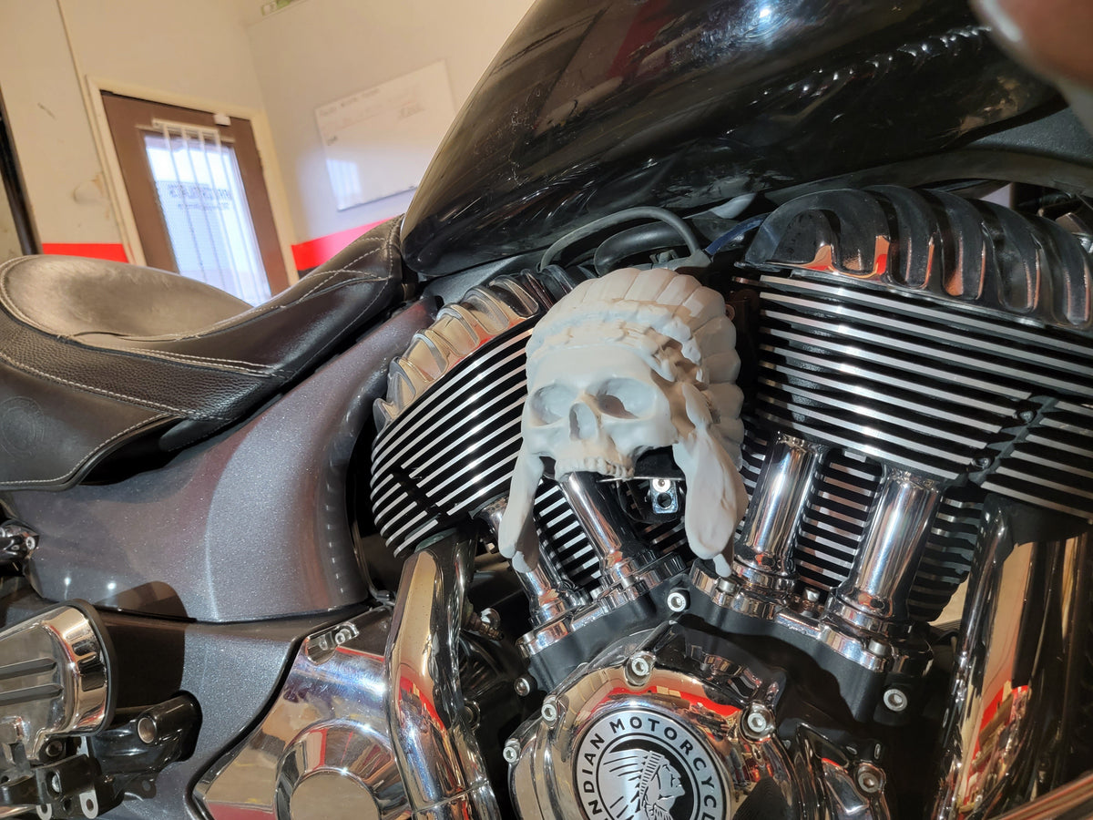 Chrome color Indian skull warbonnet Horn cover
