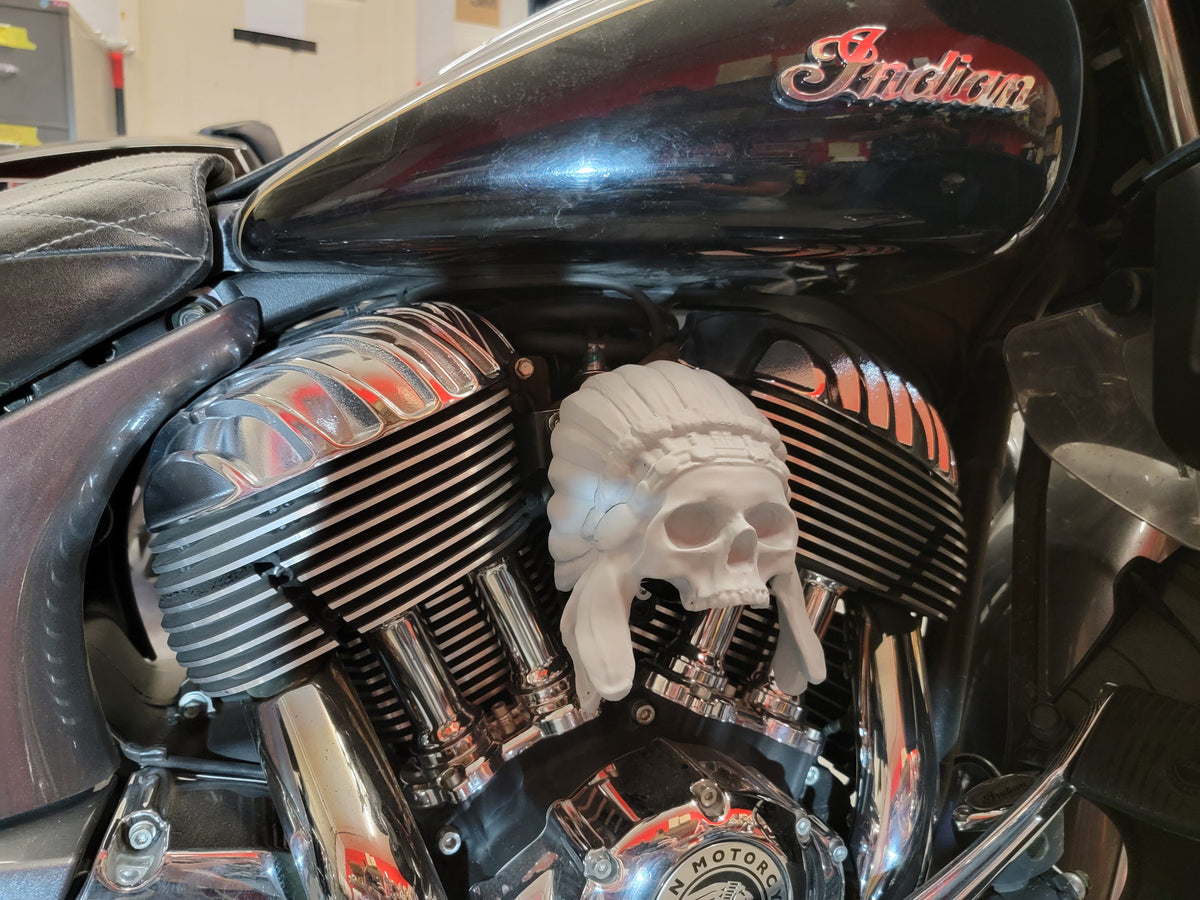 Chrome color Indian skull warbonnet Horn cover