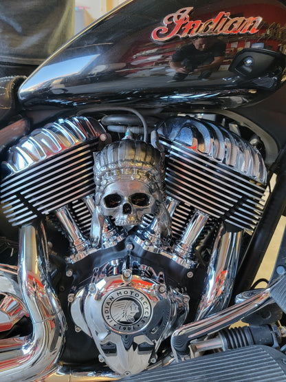 Color match Indian skull warbonnet Horn cover