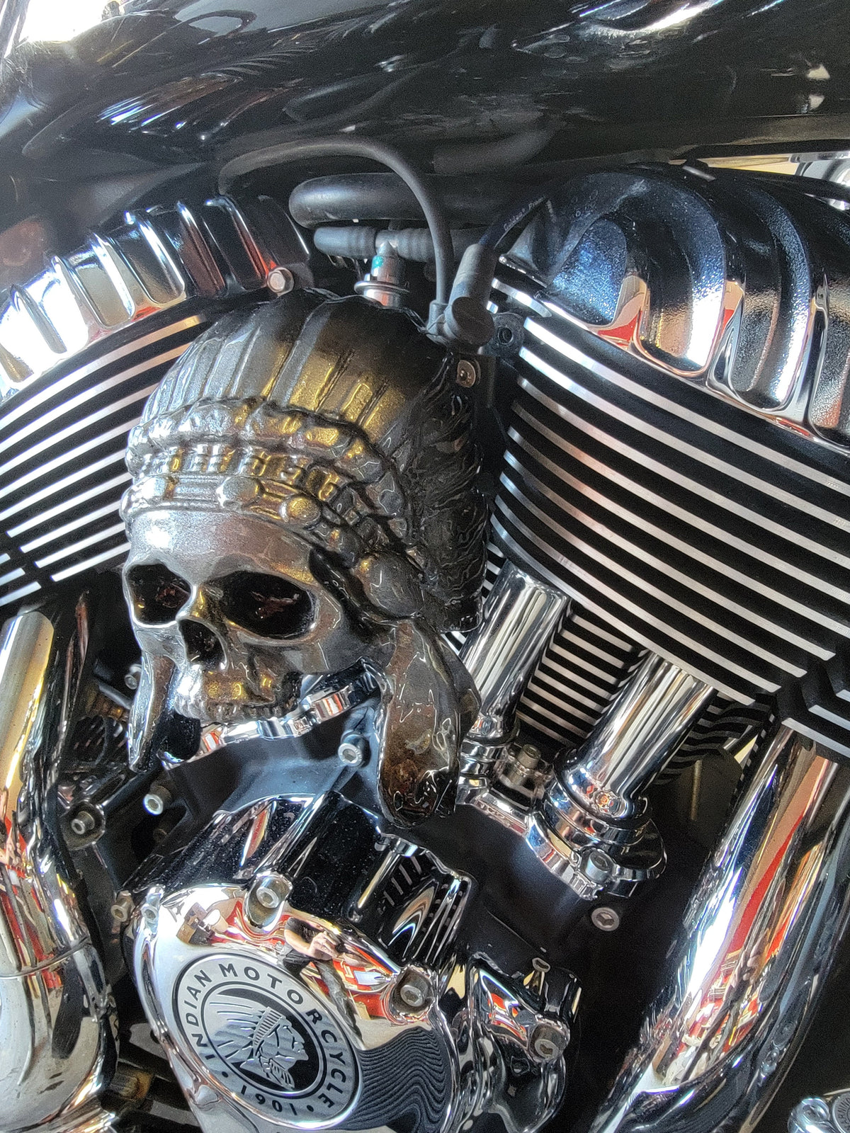 Color match Indian skull warbonnet Horn cover