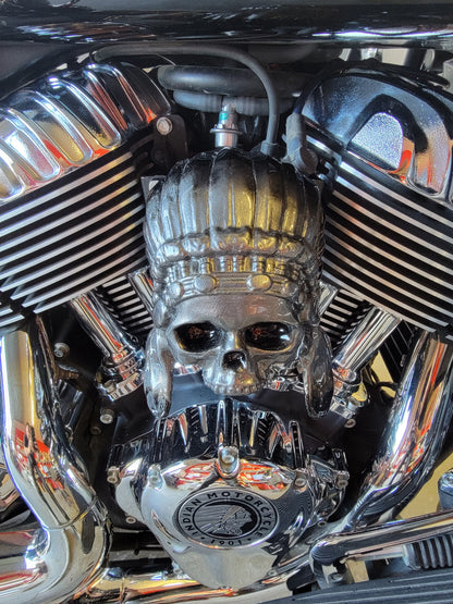 Color match Indian skull warbonnet Horn cover
