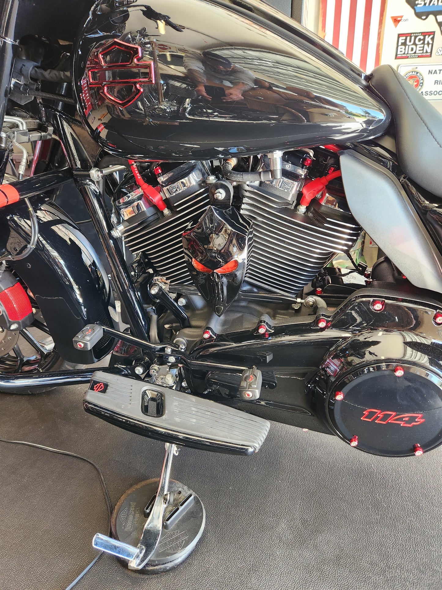 Custom Side-mounted horn cover with Punisher