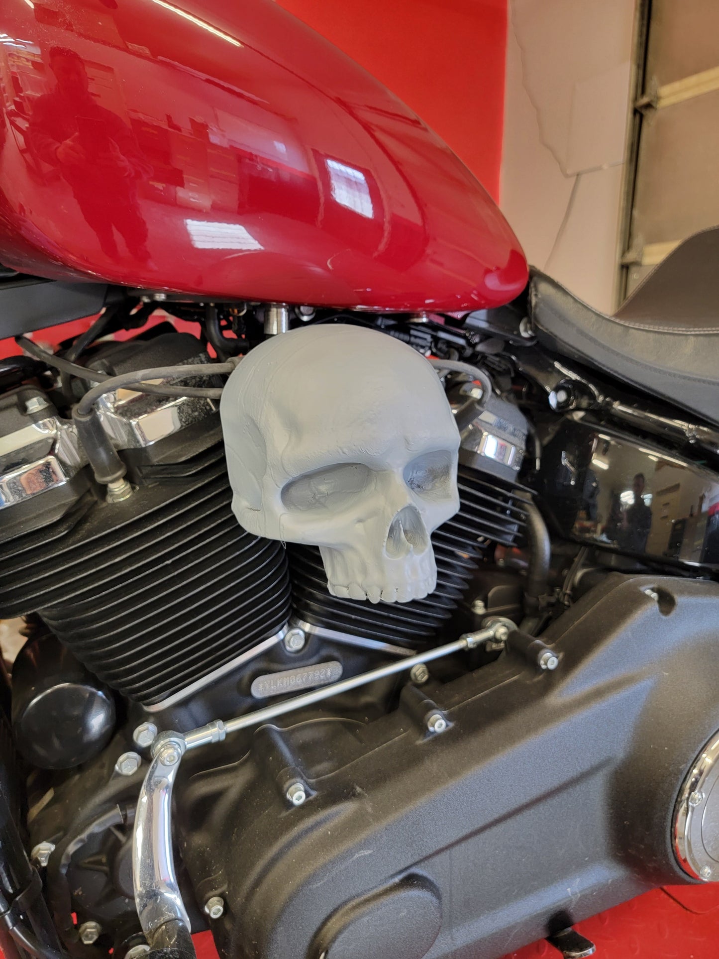 Ancient skull Coil Cover