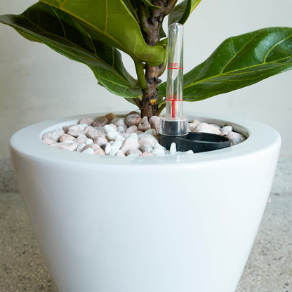 2-Pack Smart Self-Watering Planter Pot