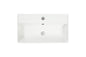 21.6" Basin Only, Glossy