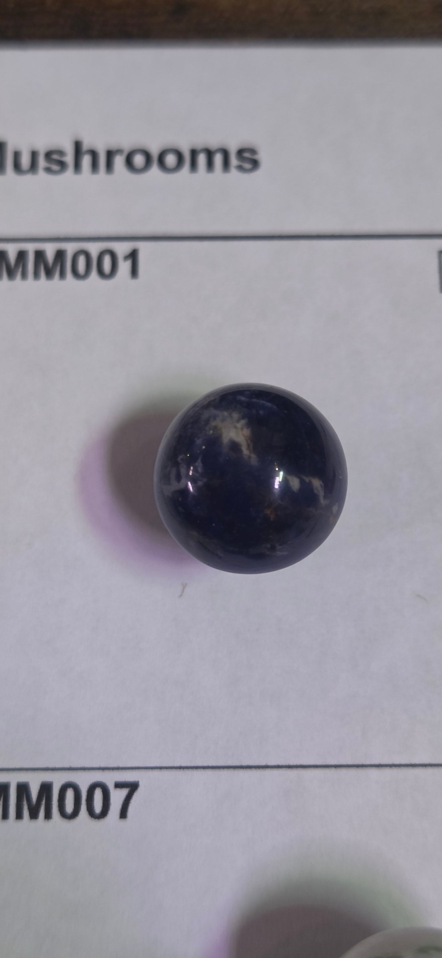 Mini Rock Mushroom MM001