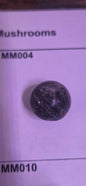 Mini Rock Mushroom MM004