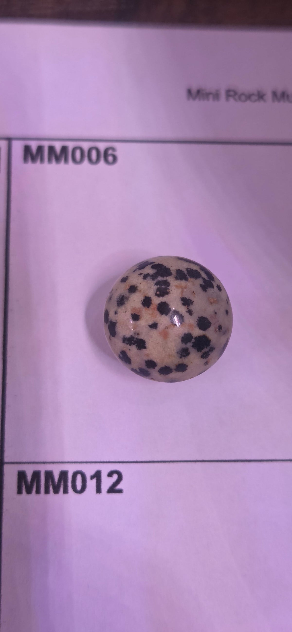Mini Rock Mushroom MM006