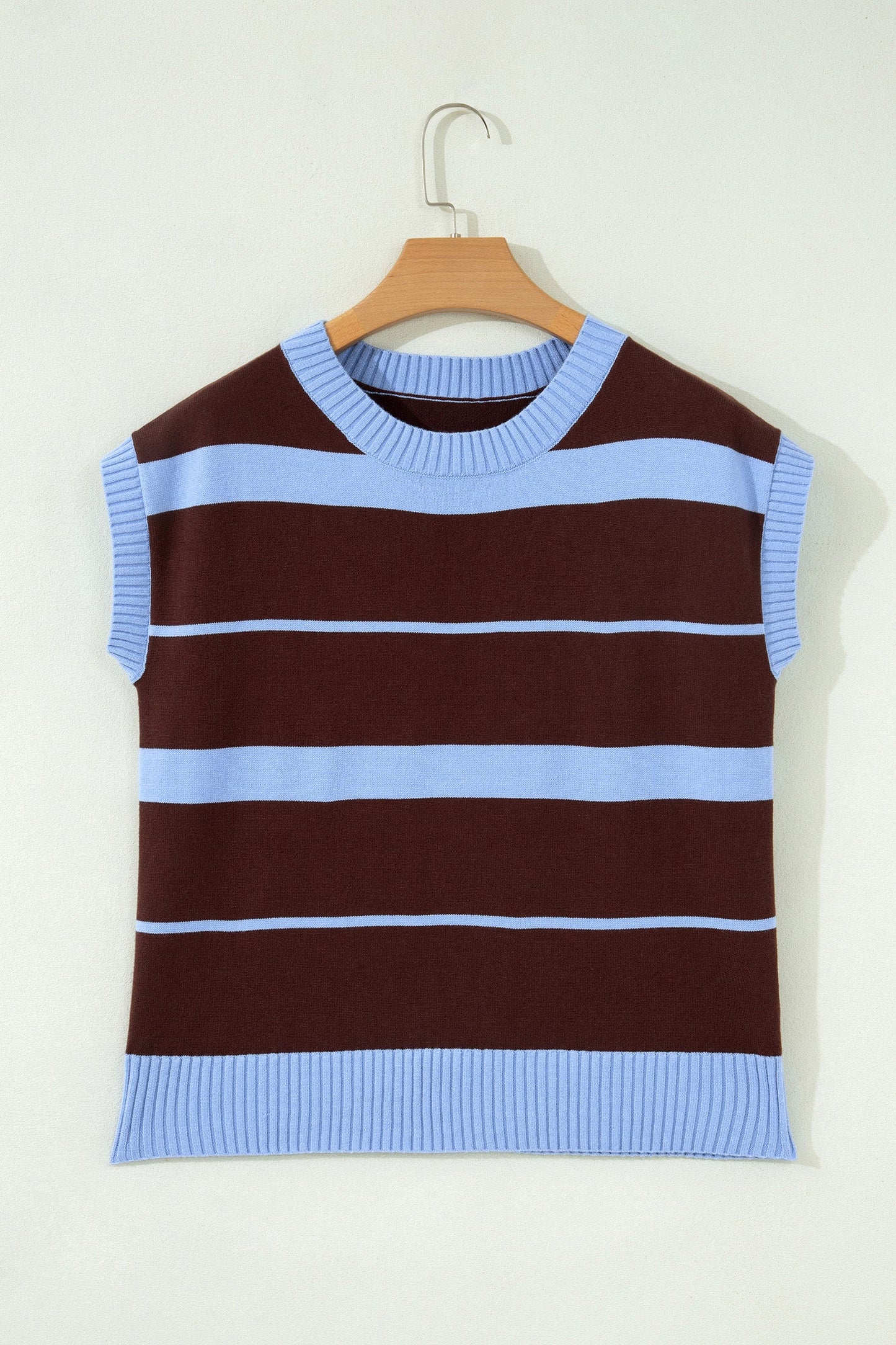 Sky Blue Stripe Striped Short Sleeve Round Neck Casual Knit Top