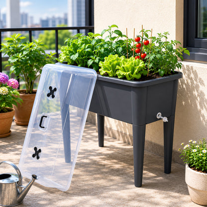 Raised Garden Bed with Ventilated Transparent Greenhouse Lid