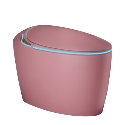 Unique Smart Toilet with Bidet Built-In