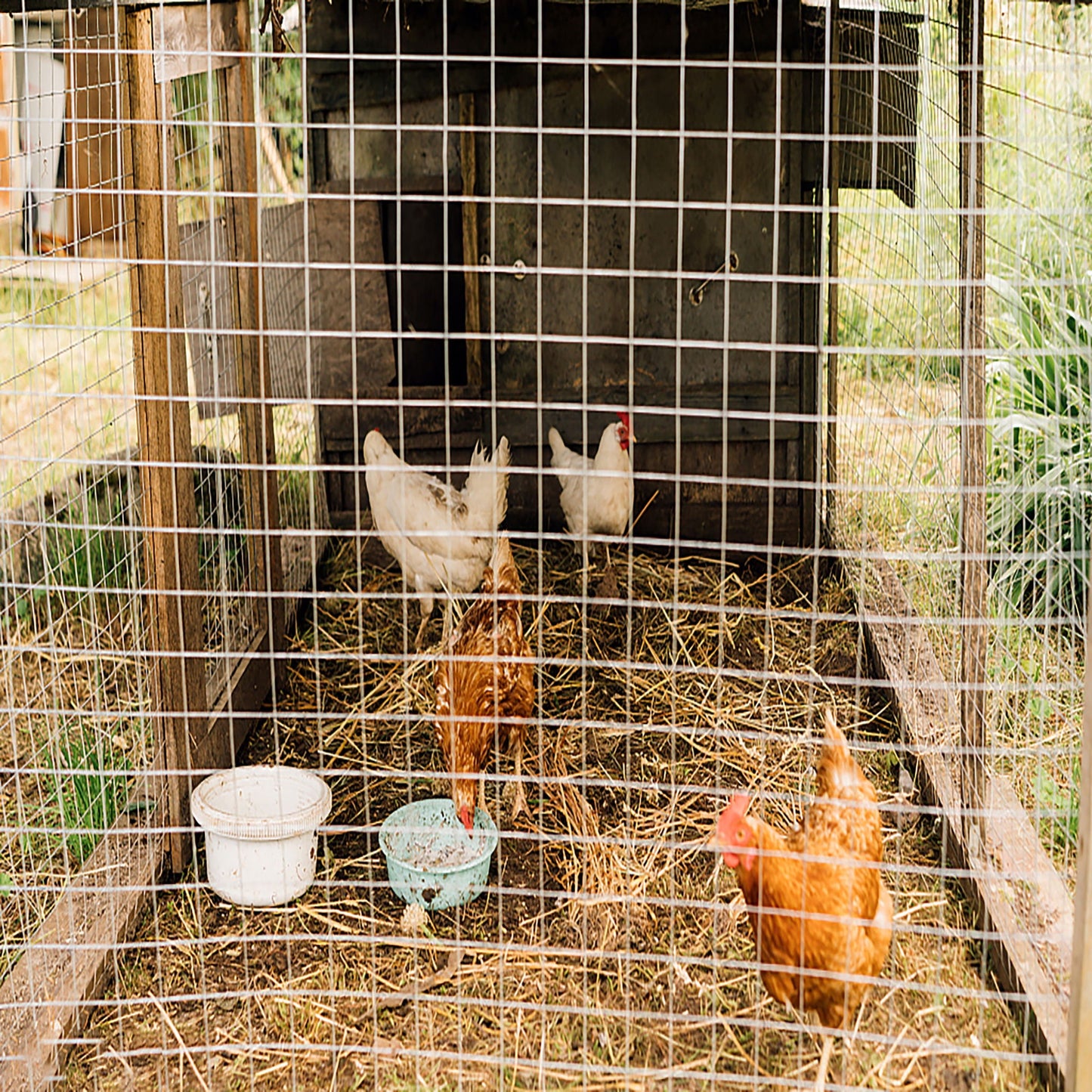 Galvanized Hardware Cloth, Gauge Metal Wire Fencing Roll For Garden And Animal Protection - Silver
